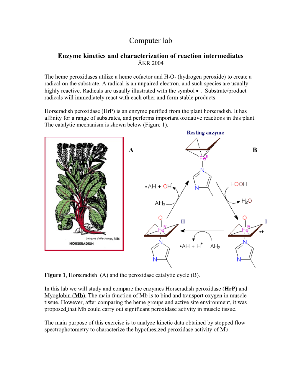 Enzyme Kinetics and Characterization of Reaction Intermediates