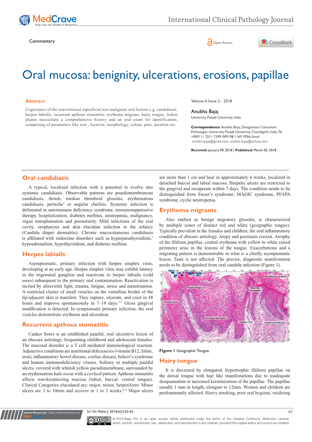 Oral Mucosa: Benignity, Ulcerations, Erosions, Papillae