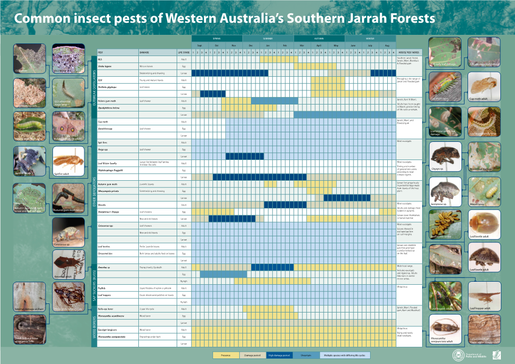 Common Insect Pests of Western Australia's Southern Jarrah Forests