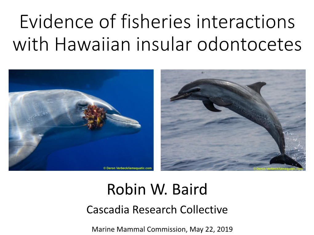 Evidence of Fisheries Interactions with Island Odontocetes