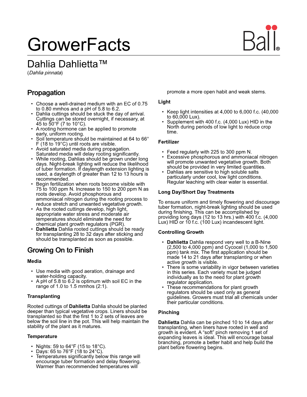 Growerfacts Dahlia Dahlietta™ (Dahlia Pinnata)