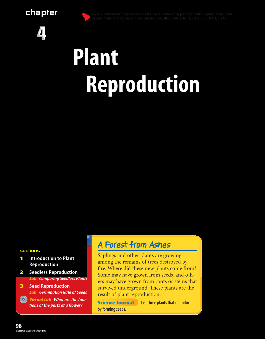 Plant Reproduction Plant Reproduction