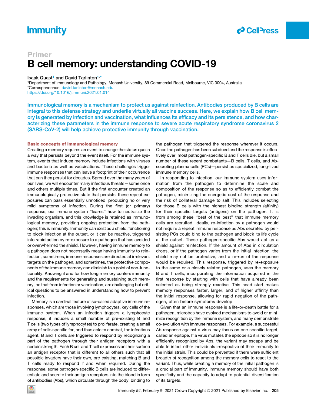 B Cell Memory: Understanding COVID-19