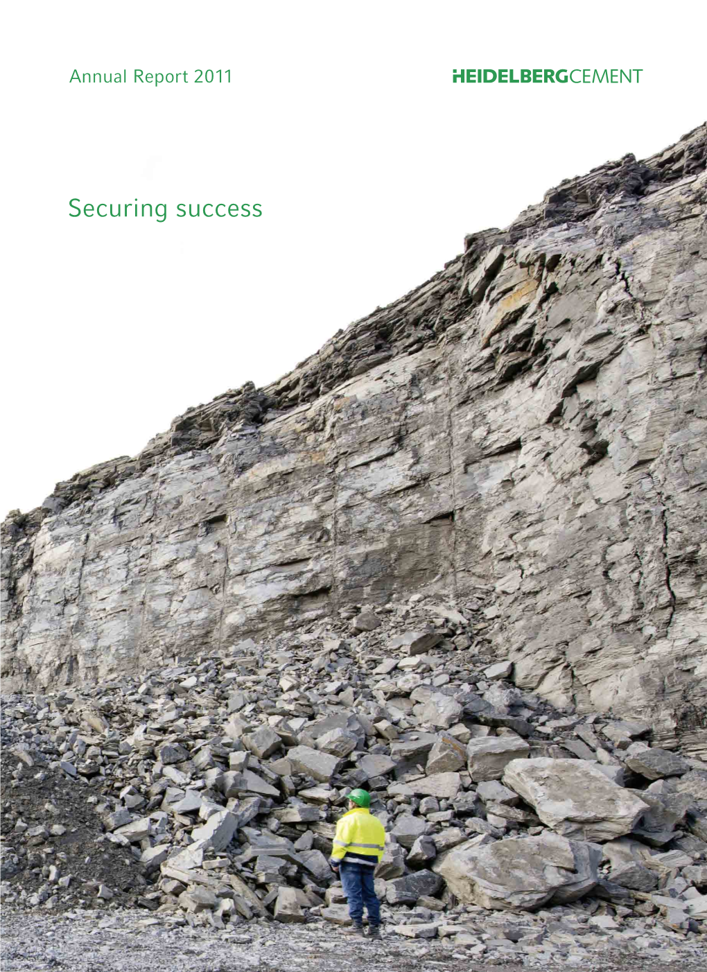 Securing Success Financial Highlights