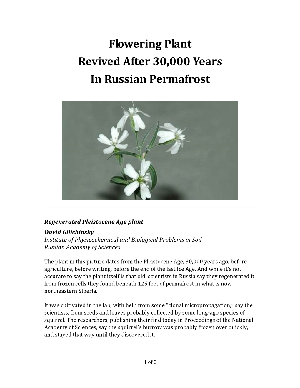 Flowering Plant Revived After 30,000 Years in Russian Permafrost