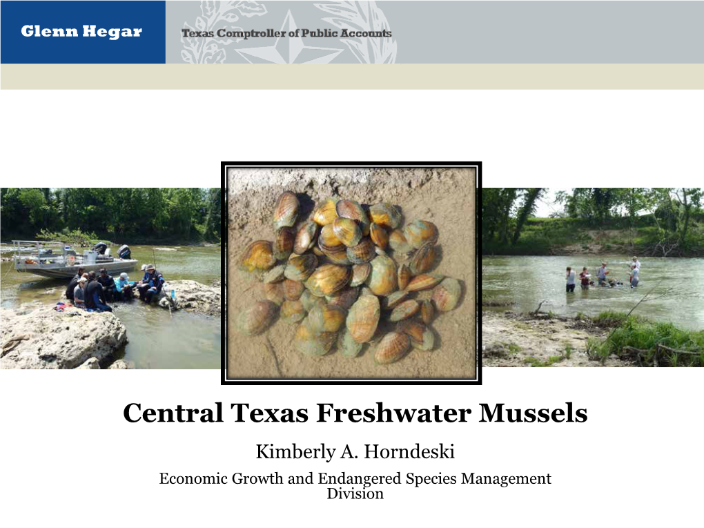 Central Texas Freshwater Mussels Program