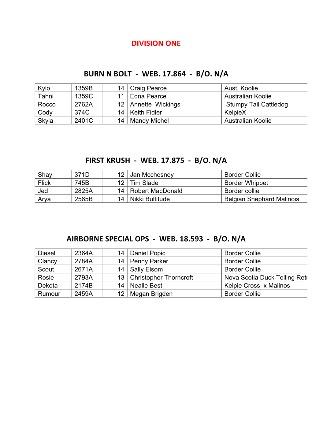 Division One Burn N Bolt