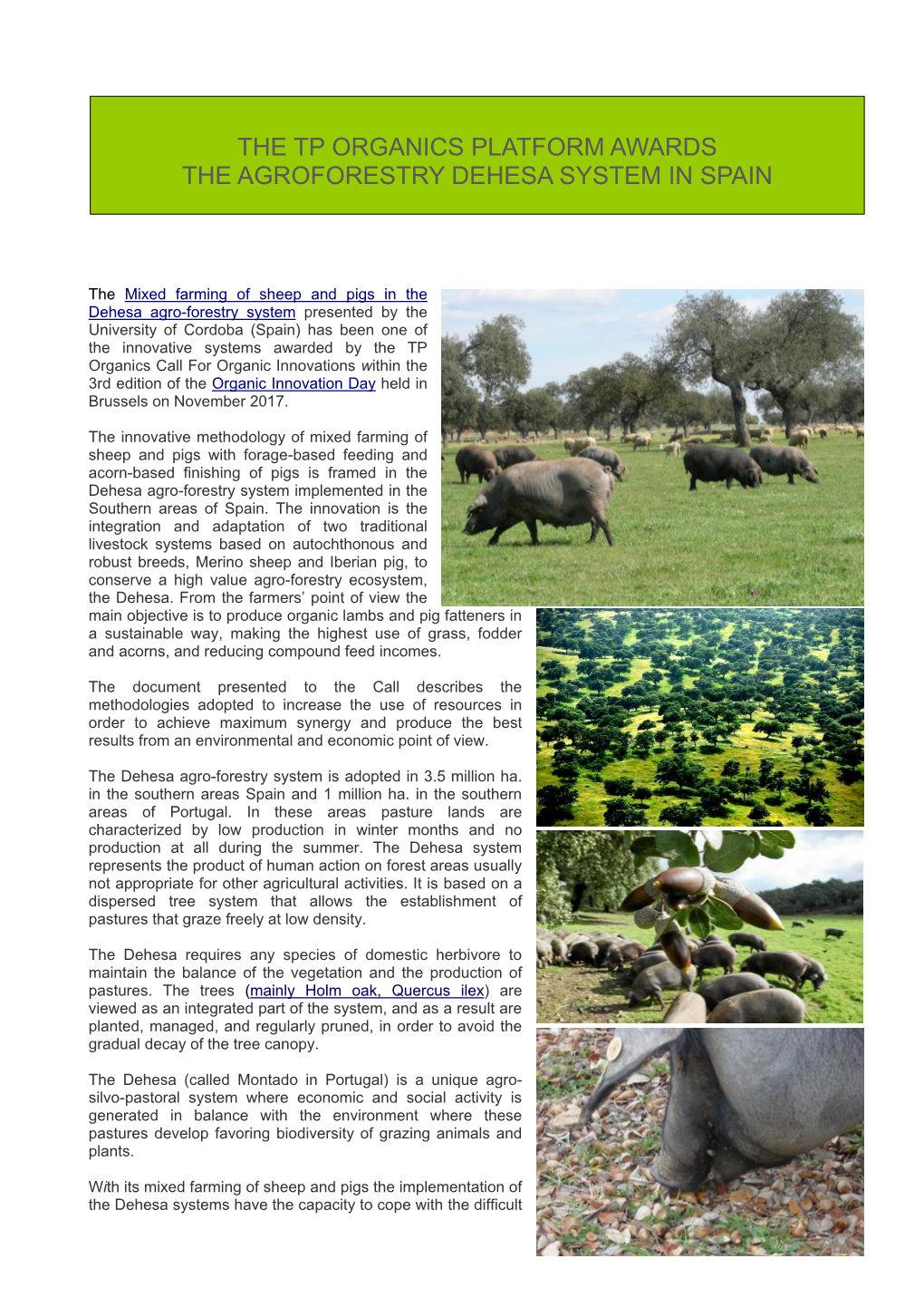The Tp Organics Platform Awards the Agroforestry Dehesa System in Spain