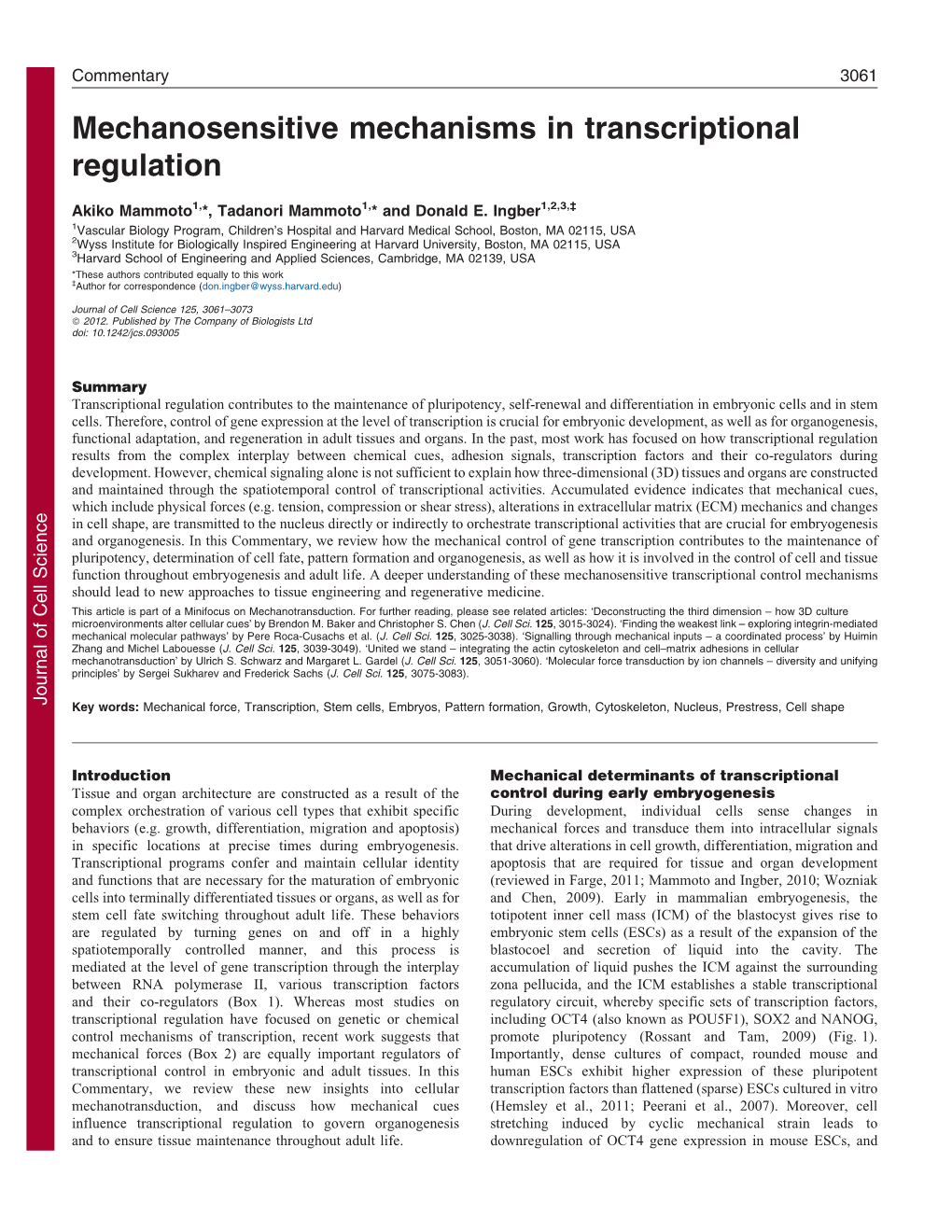 Mechanosensitive Mechanisms in Transcriptional Regulation