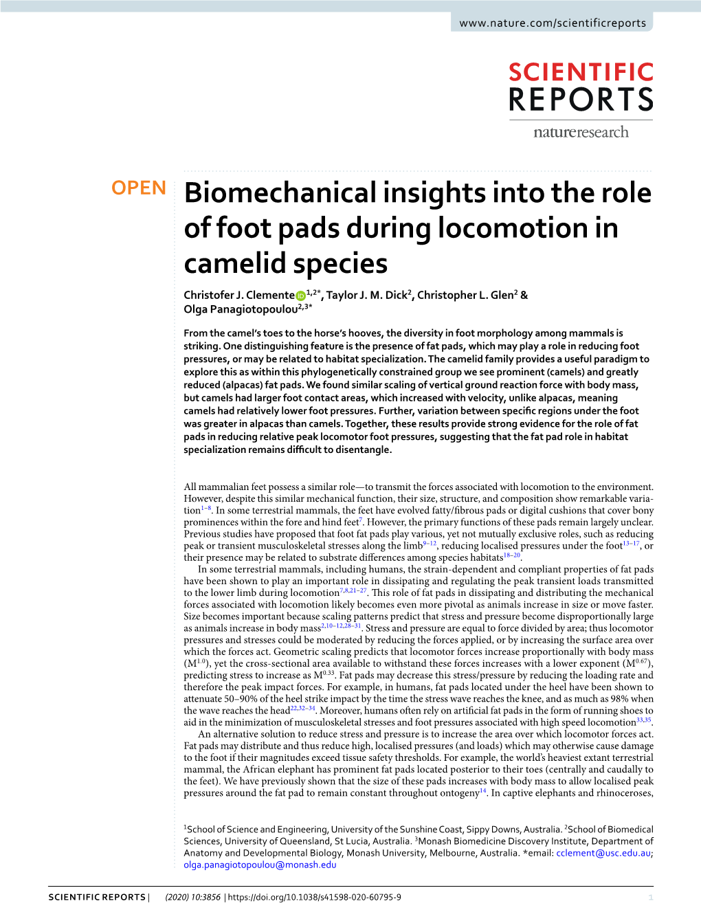 Biomechanical Insights Into the Role of Foot Pads During Locomotion in Camelid Species Christofer J