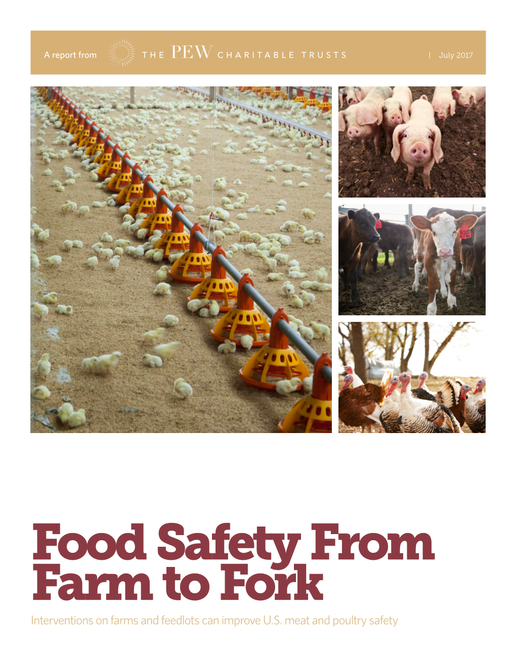 Food Safety from Farm to Fork Interventions on Farms and Feedlots Can Improve U.S