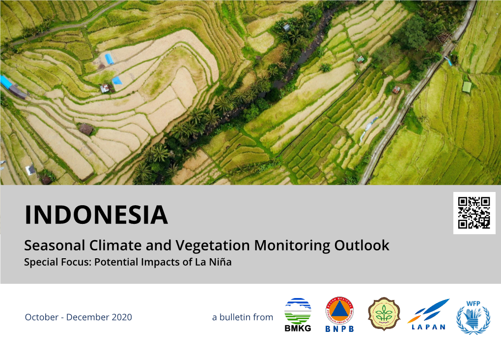 INDONESIA Seasonal Climate and Vegetation Monitoring Outlook