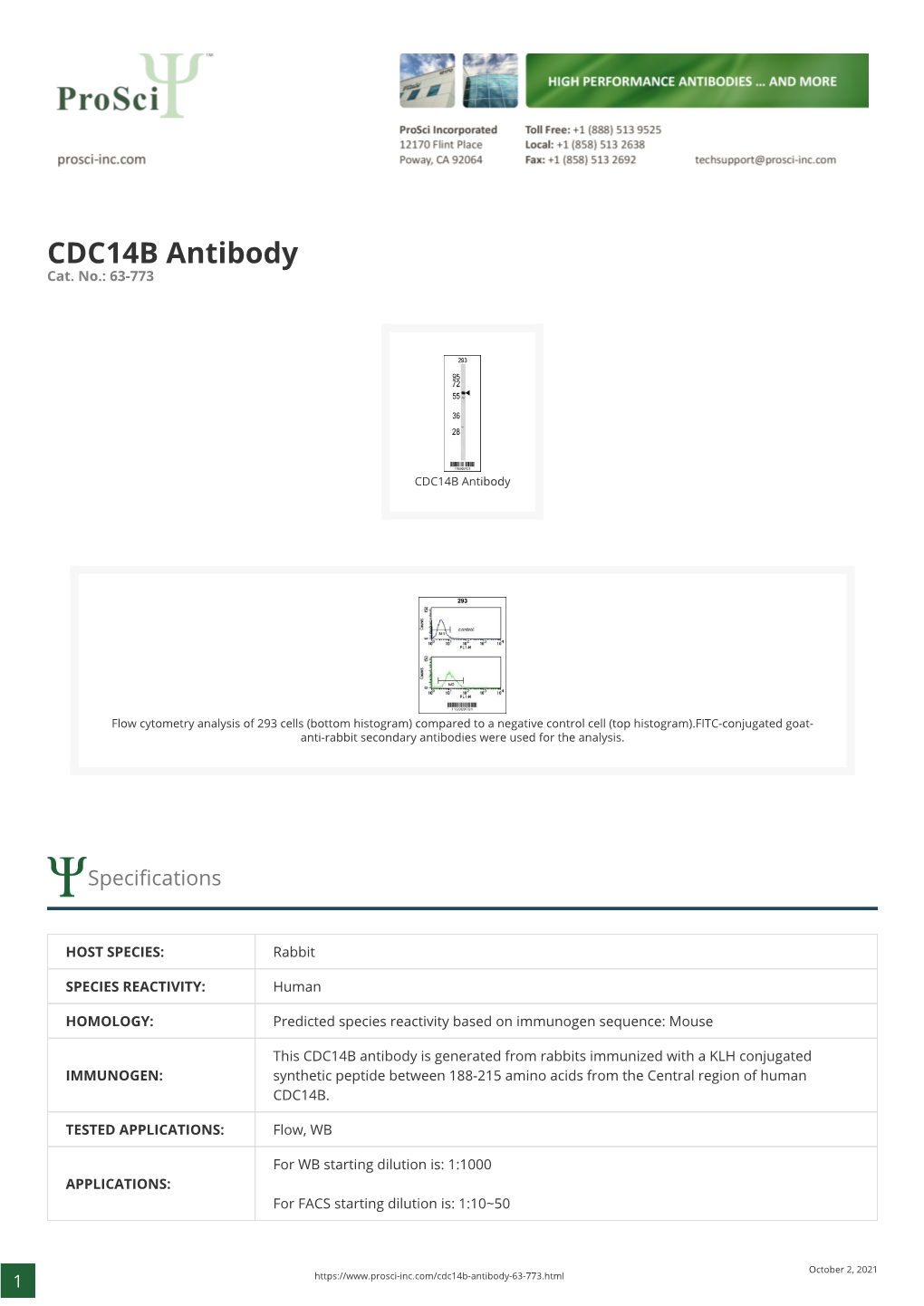 CDC14B Antibody Cat
