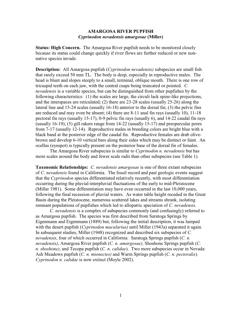 1 AMARGOSA RIVER PUPFISH Cyprinodon Nevadensis Amargosae