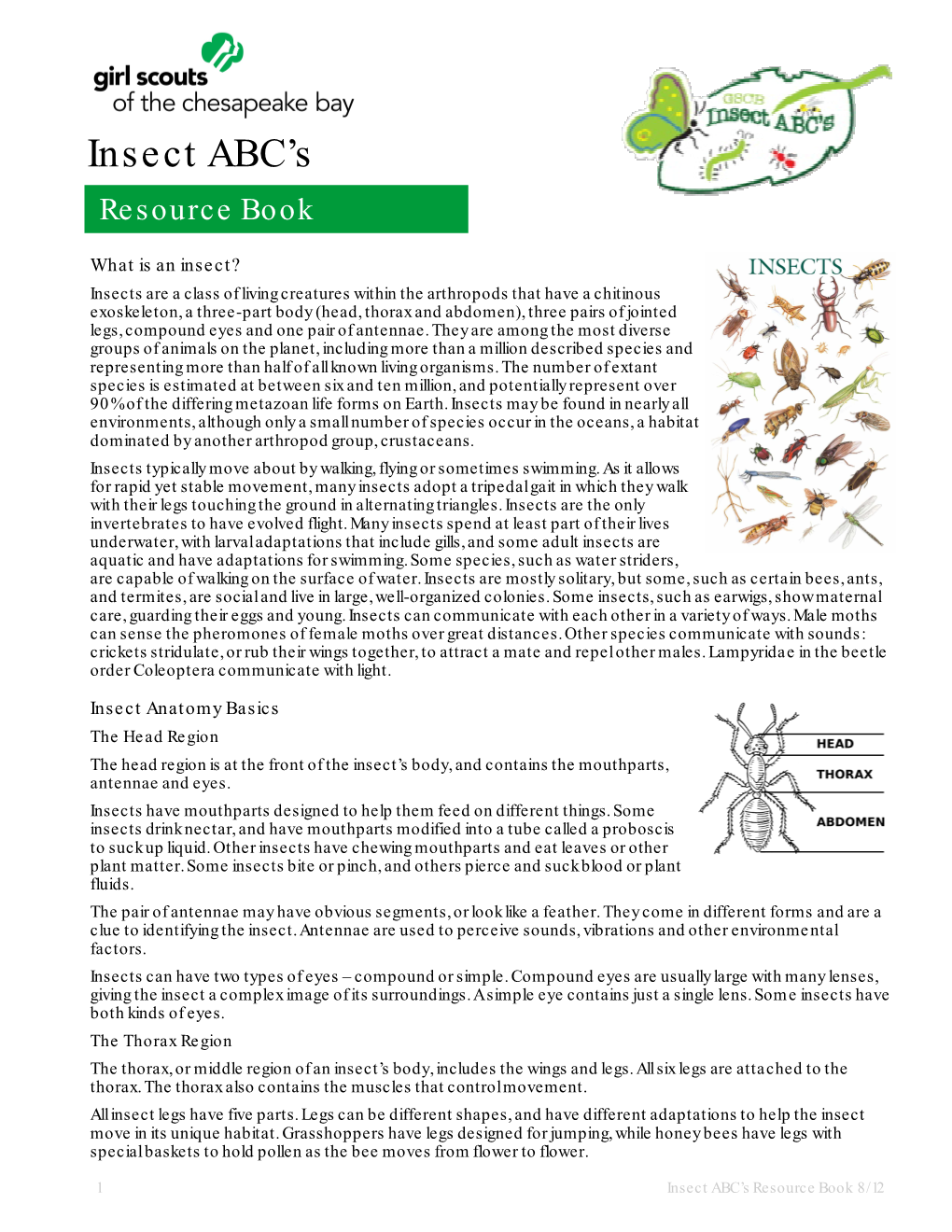 Insects Abcs Patch Resource Book