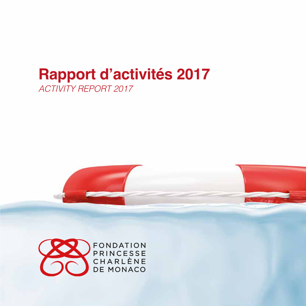 Rapport D'activités 2017