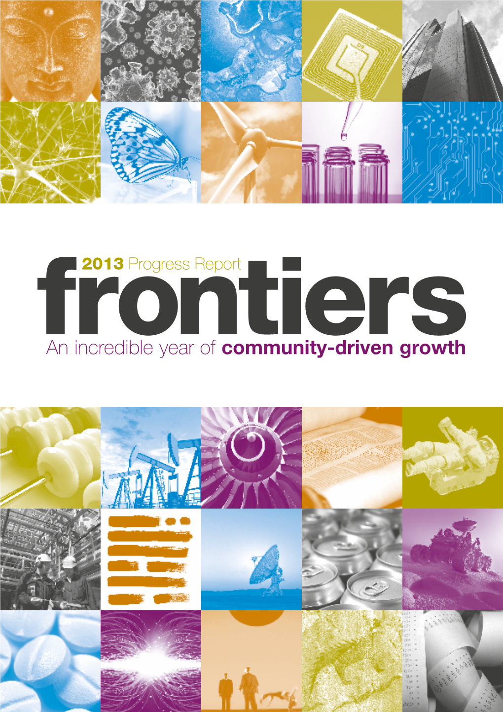 Frontiers 2013 Progress Report