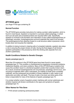 ZFYVE26 Gene Zinc Finger FYVE-Type Containing 26