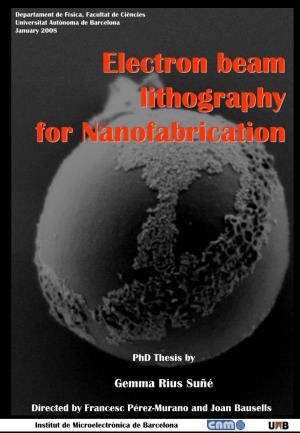 Electron Beam Lithography for Nanofabrication