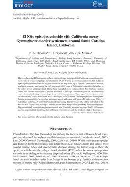 El Niño Episodes Coincide with California Moray Settlement Around