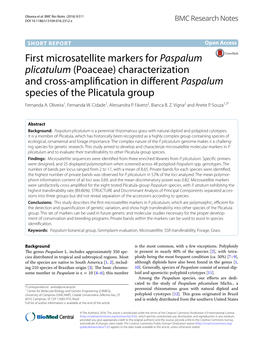 First Microsatellite Markers for Paspalum Plicatulum (Poaceae