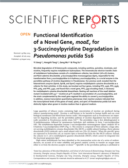 Functional Identification of a Novel Gene, Moae, for 3