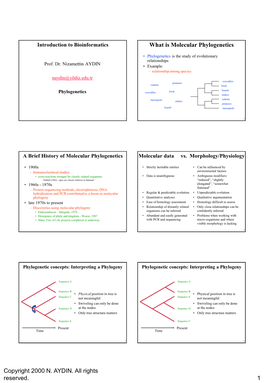 Introduction to Bioinformatics What Is Molecular Phylogenetics