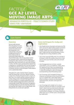 Gce A2 Level Moving Image Arts Advanced Portfolio – Practitioner Study Director: Sam Raimi