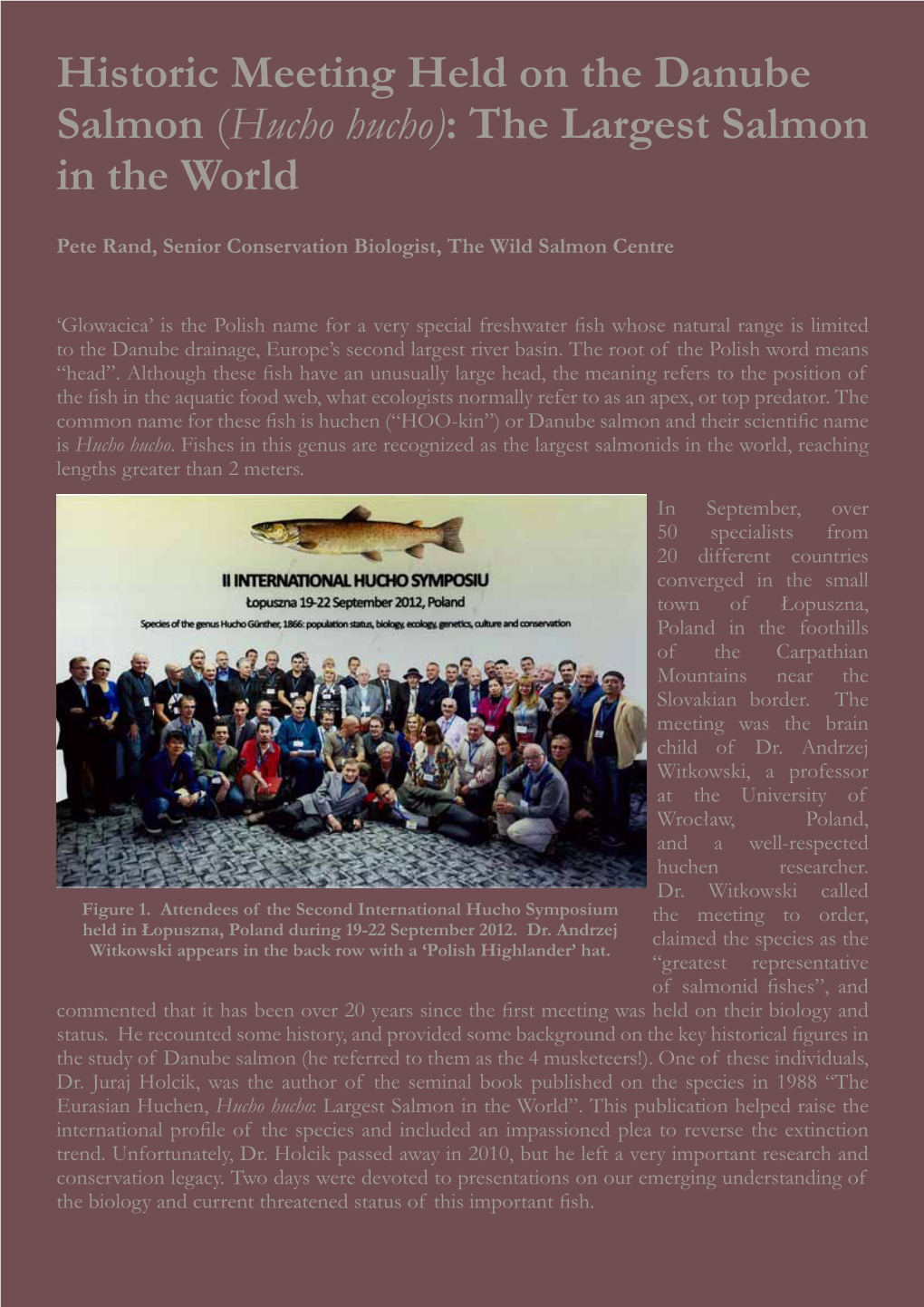 Historic Meeting Held on the Danube Salmon (Hucho Hucho): the Largest Salmon in the World
