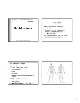 The Skeletal System