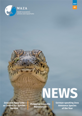 Philippine Crocodile Repatriation German-Speaking Zoos Announce