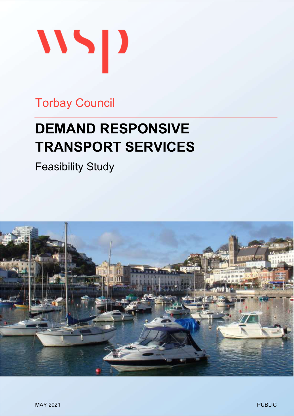 DEMAND RESPONSIVE TRANSPORT SERVICES Feasibility Study