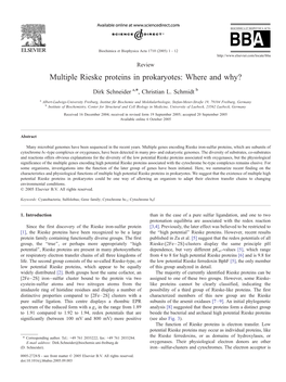 Multiple Rieske Proteins in Prokaryotes: Where and Why?