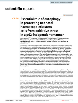 Essential Role of Autophagy in Protecting Neonatal Haematopoietic Stem Cells from Oxidative Stress in a P62-Independent Manner