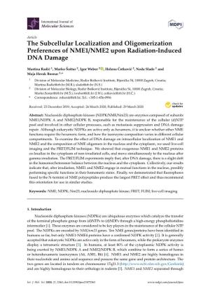 The Subcellular Localization and Oligomerization Preferences of NME1/NME2 Upon Radiation-Induced DNA Damage