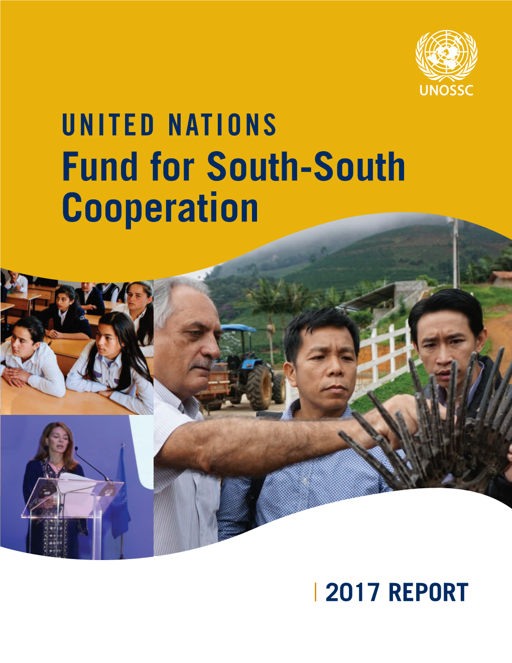 Fund for South-South Cooperation