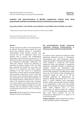 Araştırma Isolation and Characterization of Bacillus
