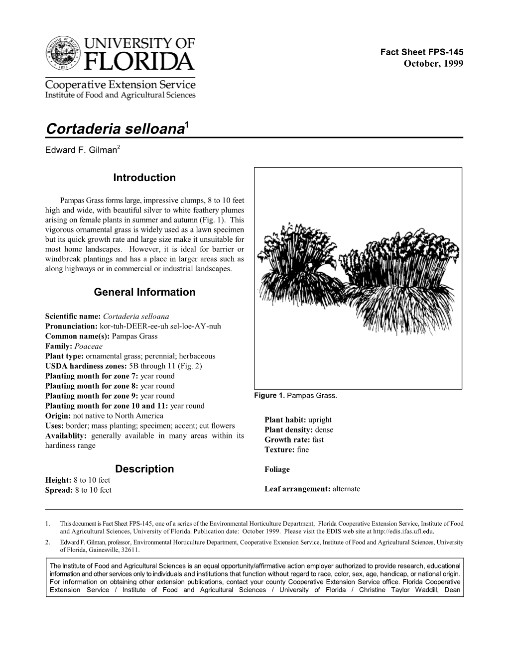 Cortaderia Selloana1