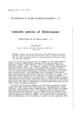 Icelandic Species of Bolbitiaceae