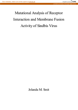 Mutational Analysis of Receptor Interaction and Membrane Fusion Activity of Sindbis Virus