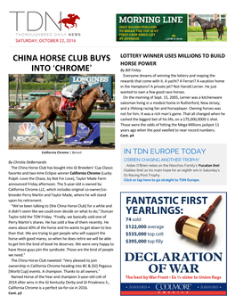 Thoroughbred Daily News (TDN)