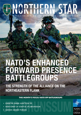 Nato's Enhanced Forward Presence Battlegroups