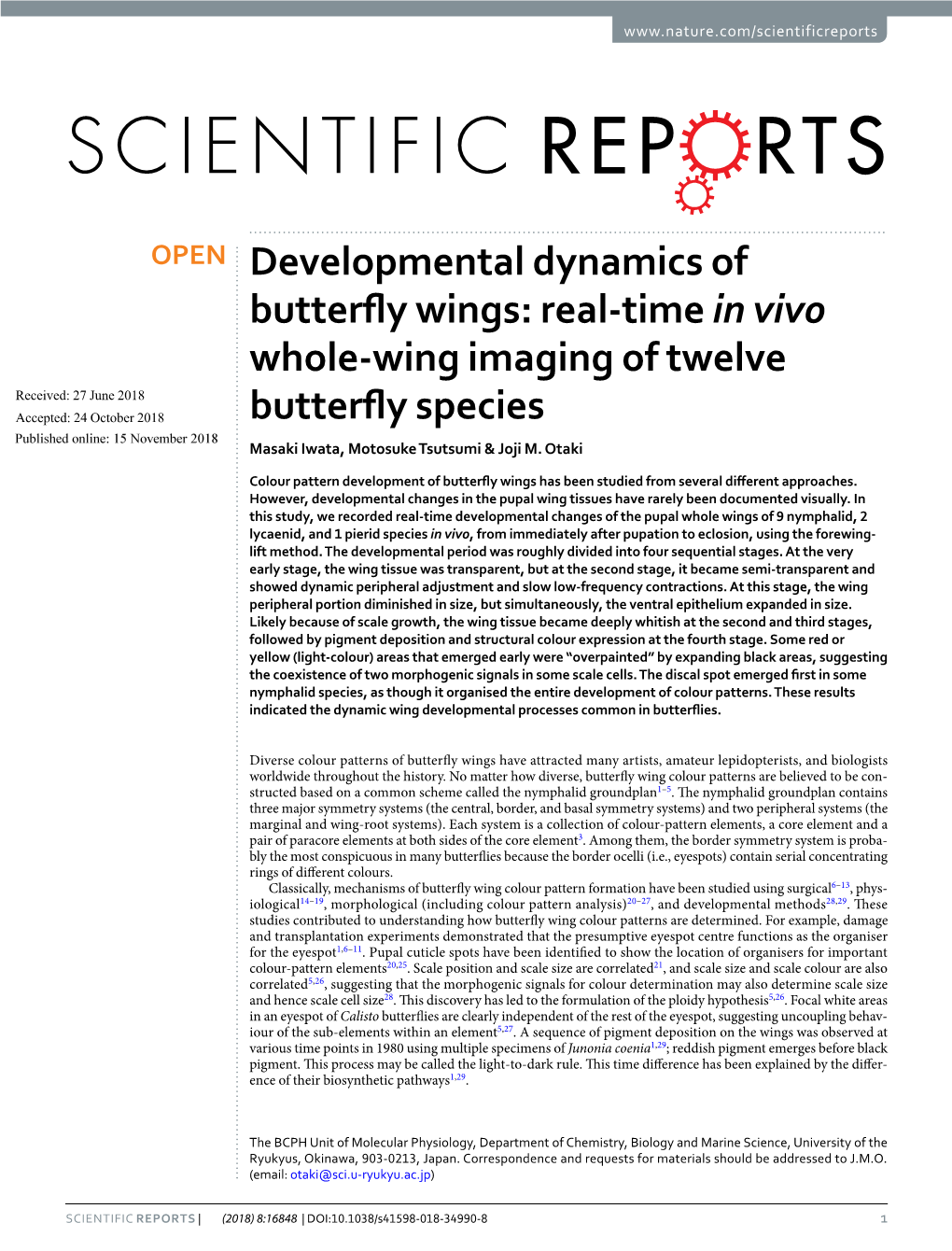 Real-Time in Vivo Whole-Wing Imaging of Twelve Butterfly Species