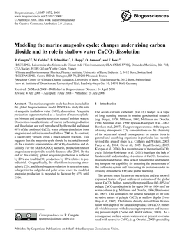 Modeling the Marine Aragonite Cycle: Changes Under Rising Carbon Dioxide and Its Role in Shallow Water Caco3 Dissolution