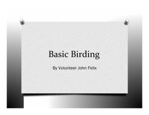 Basic Birding