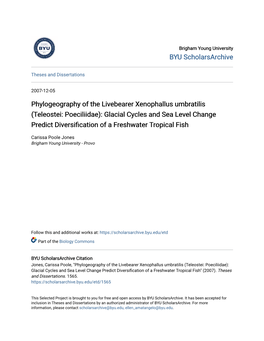 Phylogeography of the Livebearer Xenophallus Umbratilis