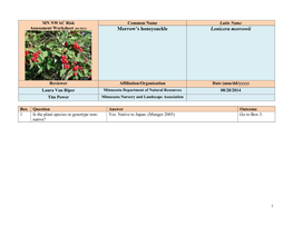 Morrow's Honeysuckle