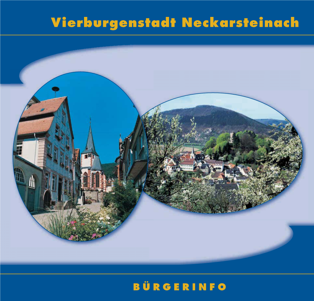 Bã¼rger-Informationsbroschã¼re Der Stadt Neckarsteinach