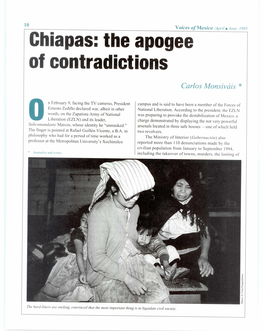 Chiapas: the Apogee of Contradictions