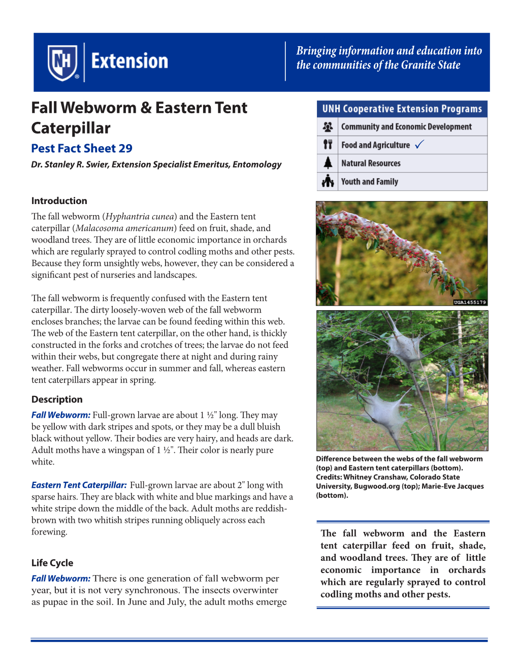 Fall Webworm & Eastern Tent Caterpillar